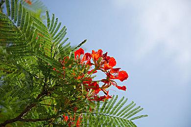 鸽这么久的原因找到了！ 《空洞骑士》销量达1500万